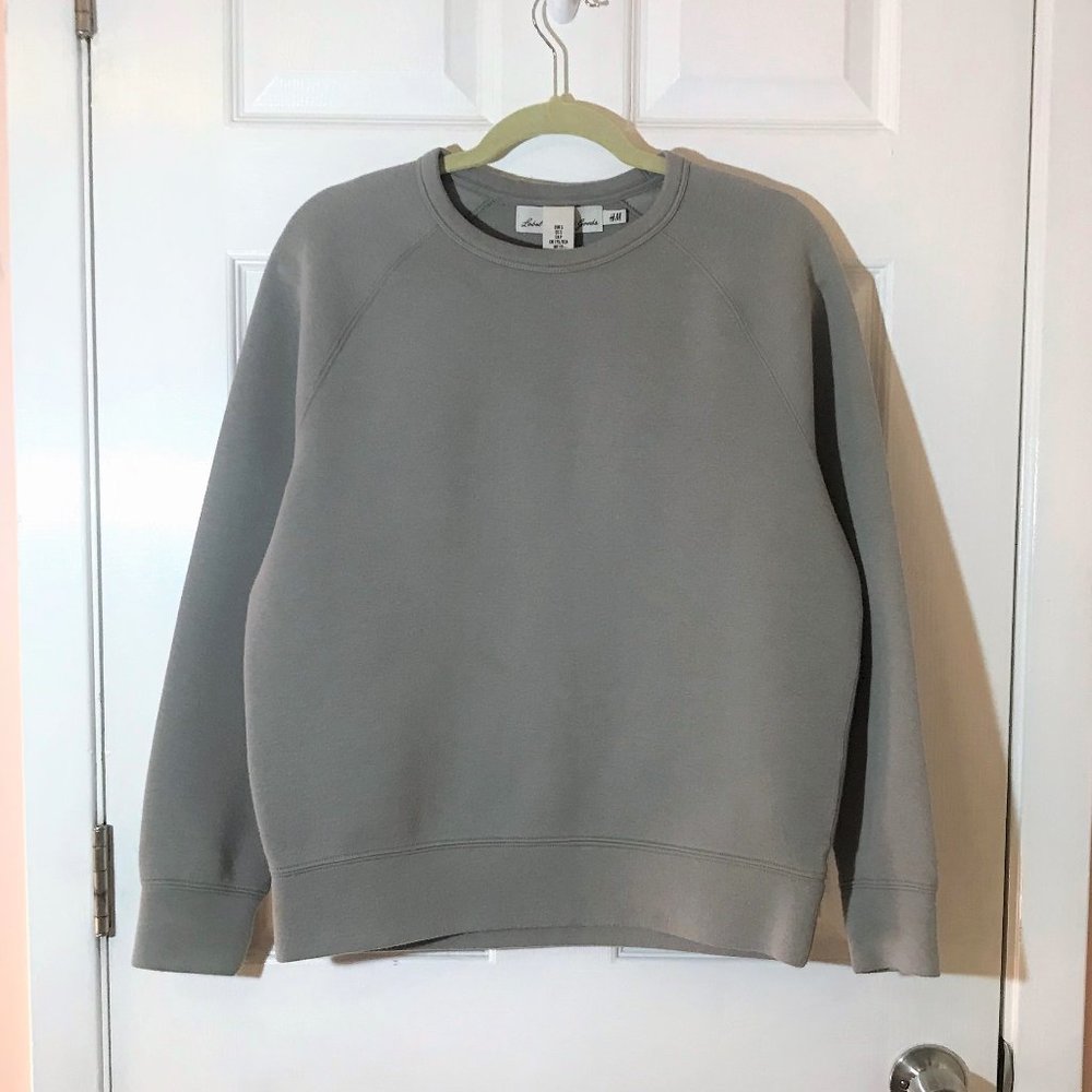 Pale Gray Sweatshirt